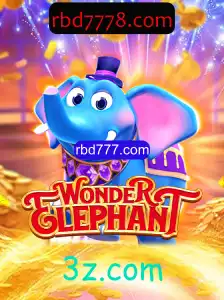 Descubra o Fascinante Mundo de WonderElephant